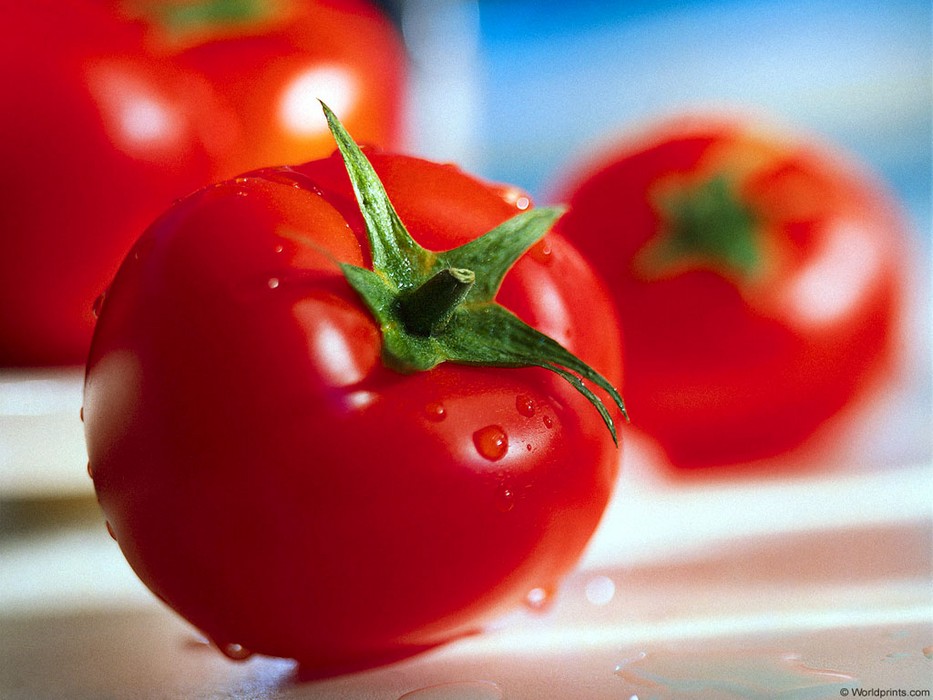 продукты турбослим для похудения продукты турбослим для похудения
